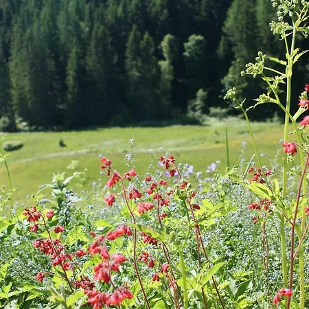 Kurzenhof ラートシュタット